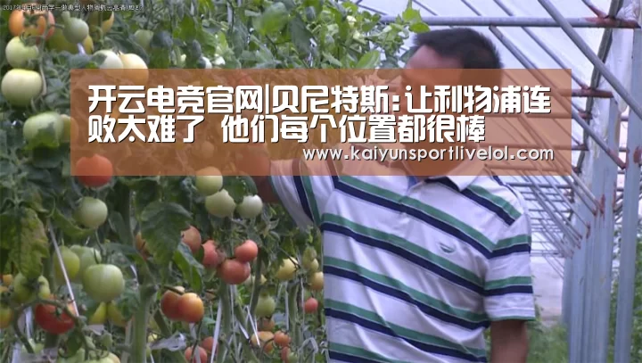 电竞官网