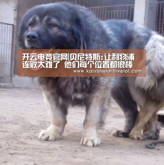 开云电竞官网