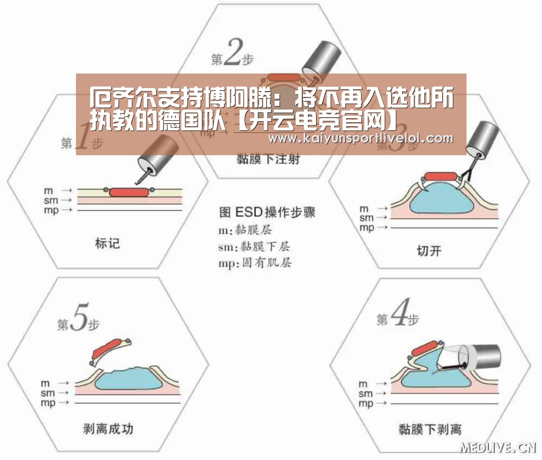 厄齐尔支持博阿滕:将不再入选他所执教的德国队【开云电竞官网】(图2) 电竞官网