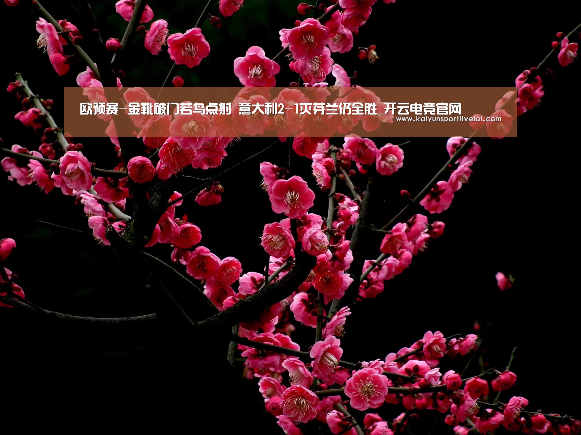 欧预赛-金靴破门若鸟点射 意大利2-1灭芬兰仍全胜_开云电竞官网(图4) 开云电竞