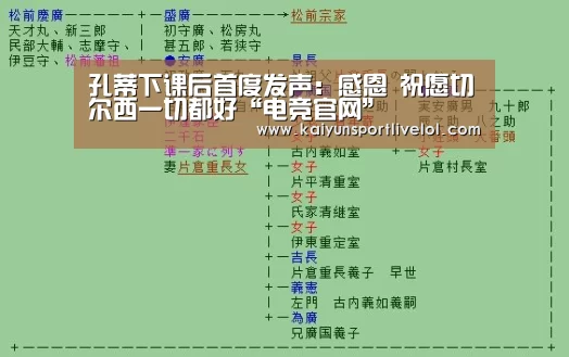 开云电竞官网
