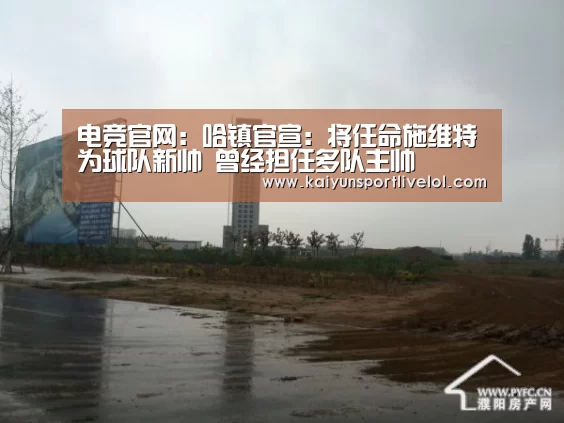 电竞官网:哈镇官宣:将任命施维特为球队新帅 曾经担任多队主帅(图3) 电竞官网