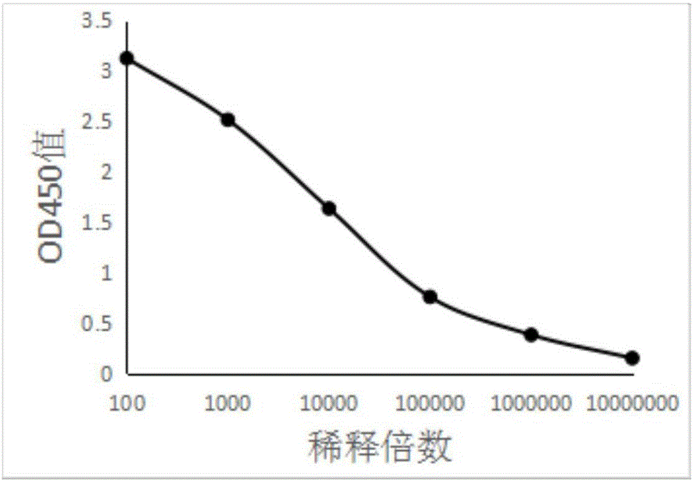 电竞官网:哈镇官宣:将任命施维特为球队新帅 曾经担任多队主帅(图2) 电竞官网